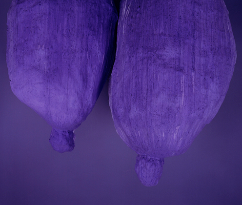 Active Amethyst Afternoon in Indigo Identity Ideal Ice