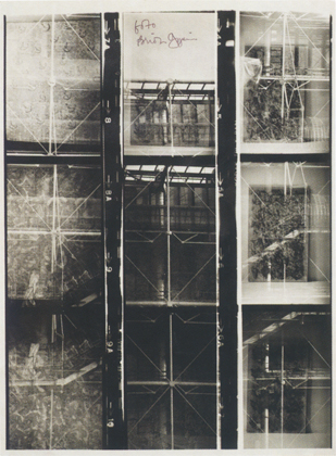 The Last Museum (1974)