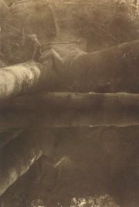 Bega, Kinderhook Creek (1977)