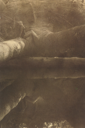 Bega, Kinderhook Creek (1977)