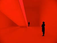 Bridget's Bardot (2008)