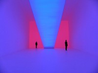 Bridget's Bardot (2008)