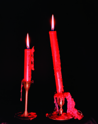 Even Now, In The Final Hour of My Life, I'm Falling In Love (2007)