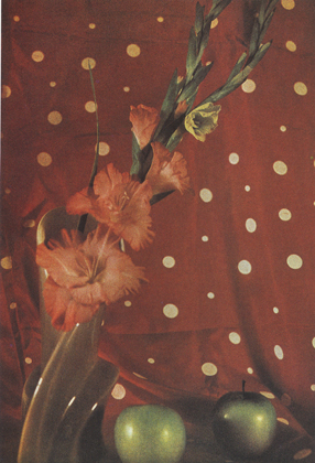 Homage To Man Ray (1983)