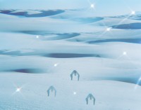 Making Sure White Sand Dunes Stain