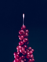 Semen and Grapes (2007)