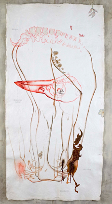 Twist Your Pelvis, Scratch Where It Itches