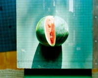 Birth of the World (2009)