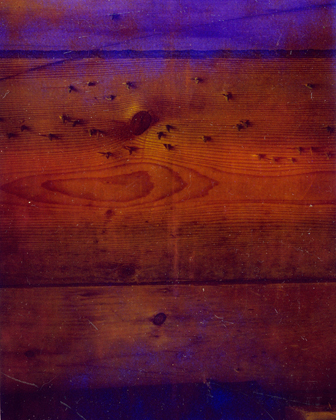 The Book of Questions (2011)