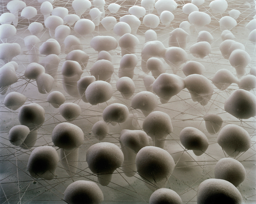 C2 The Andromeda Strain