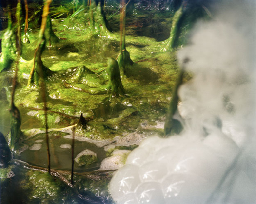 C6 The Andromeda Strain