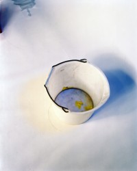 The Dream (After the Flood) (2010)