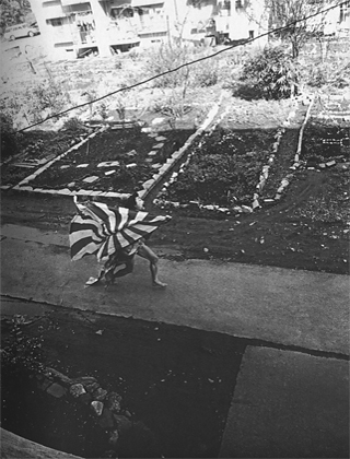 Excerpt from "Kamaitachi" (1955-68)