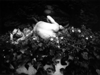 Ordeal by Roses "Barakei", (1961)