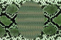 Eve (from "Hidden Shit", 2010)