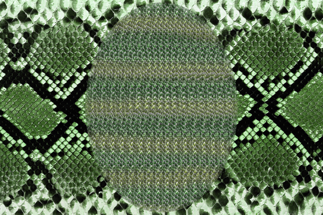 Eve (from "Hidden Shit", 2010)