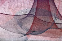 Every Beating Second, San Francisco, CA (2011), Photo by Yan Yan Mao