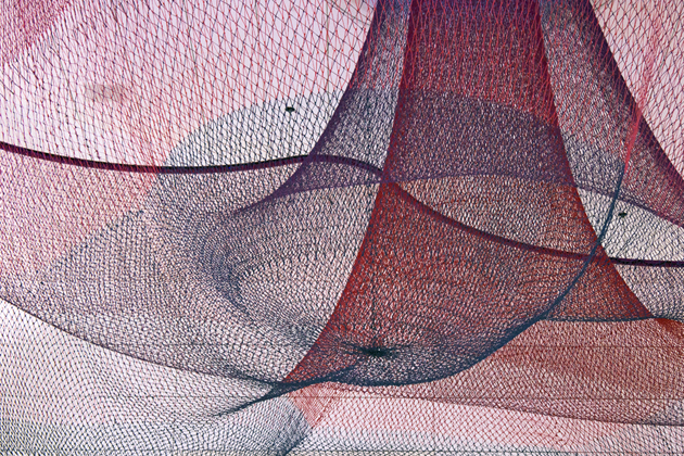 Every Beating Second, San Francisco, CA (2011), Photo by Yan Yan Mao