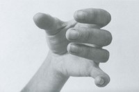 Female Hands, Excerpted from The Human Figure