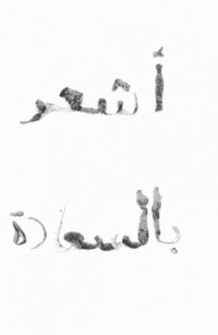 (10) Love Letter #3 (Original text in Arabic, written in potato peels)