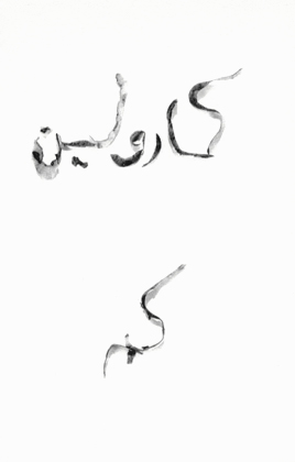 (9) Love Letter #3 (Original text in Arabic, written in potato peels)