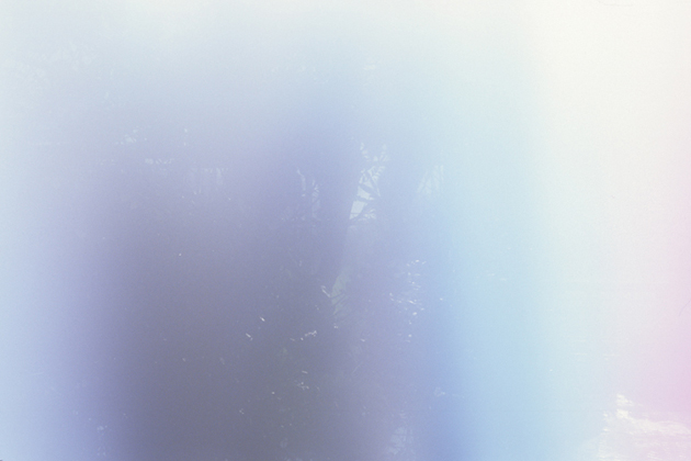 Garden In Gradient (2007)