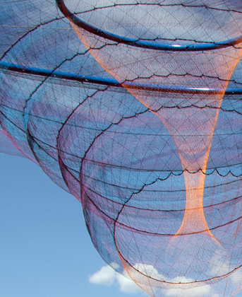 Her Secret Is Patience, Phoenix, AZ (2009), Photo by Karie Porter