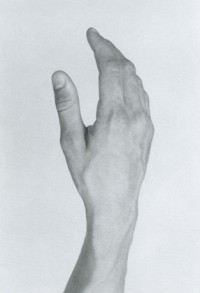 Male Hands, Excerpted from The Human Figure
