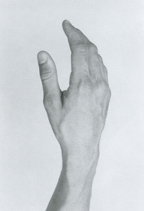 Male Hands, Excerpted from The Human Figure