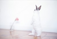 Martin On His Feet (2008)