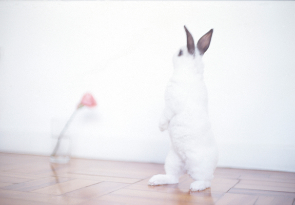 Martin On His Feet (2008)