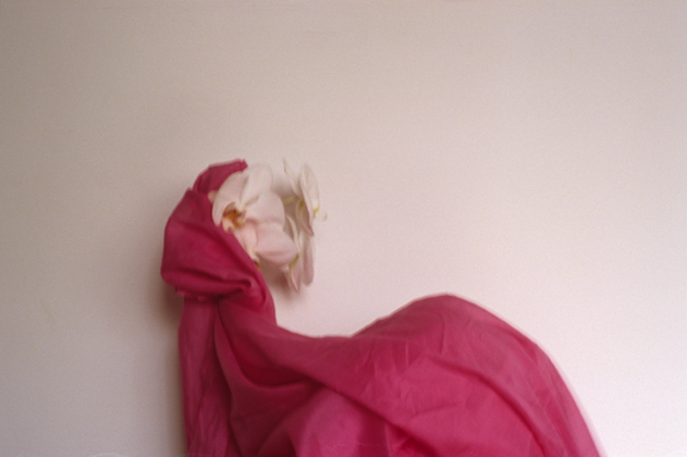 Orchid and Fabric Two (2008)