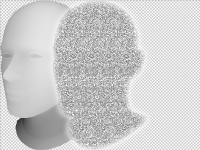 Shadow (from "Hidden Shit", 2010)