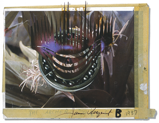 Source for 'Brazilian Forest - The Flaming Archer and the Target' (1987)