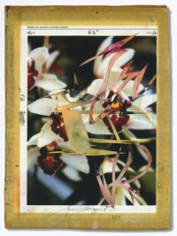 Source for 'Incarnation Incantation' (1989)