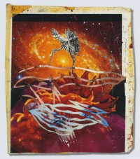 Source for 'The Bird of Paradise Approaches the Hot Water Planet' and 'Untitled' (1987)