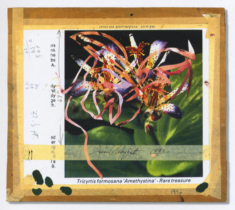 Source for 'Untitled' (1992)