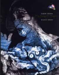 The Butterfly Dream book cover designed by Yokoo Tadanori