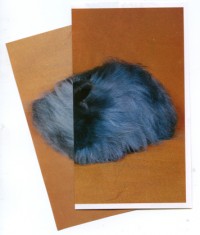 Untitled (silvergrey)