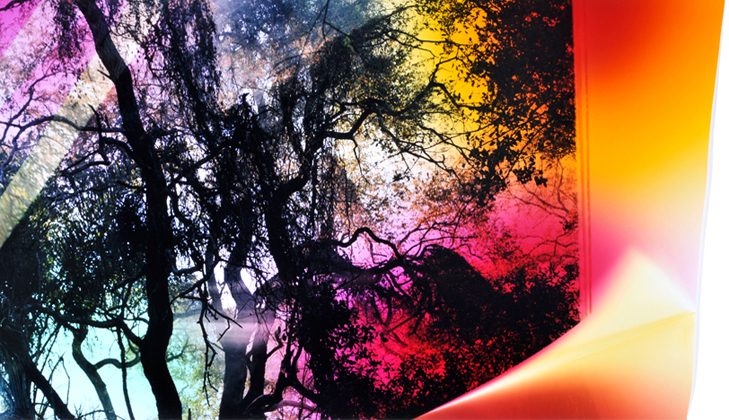 From The Origins Series (Detritus Spectrum) (2011)