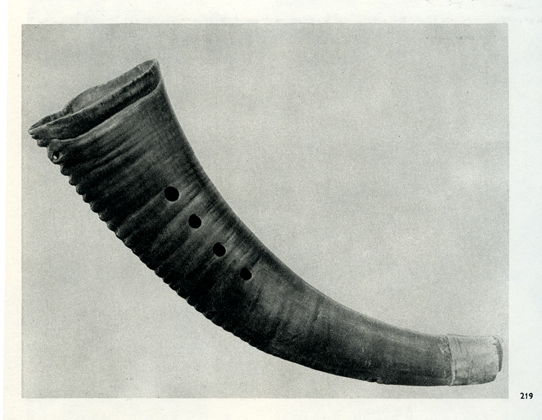 Finnish Horn Paimensarvi