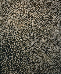 Untitled 7-24-74 (1974)