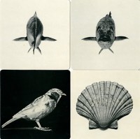 Immagini Della Realta (1977-4)