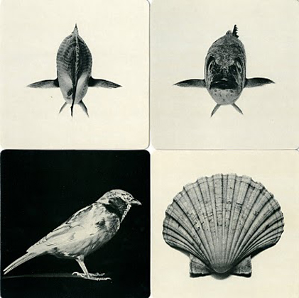 Immagini Della Realta (1977-4)