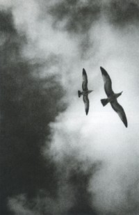 Untitled (Passport #II) (1993)