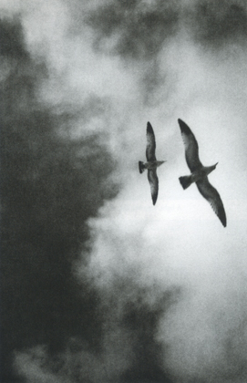 Untitled (Passport #II) (1993)