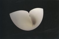 Paper Clipped (1995)