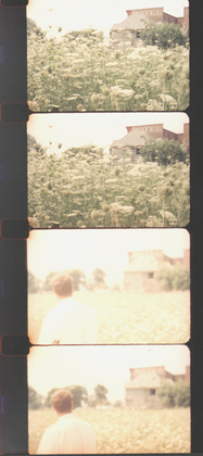 Photographing Buildings No. 2 (2011)