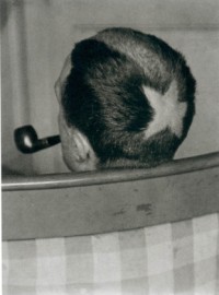Marcel Duchamp Tonsur (rear view) (1921)