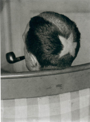 Marcel Duchamp Tonsur (rear view) (1921)